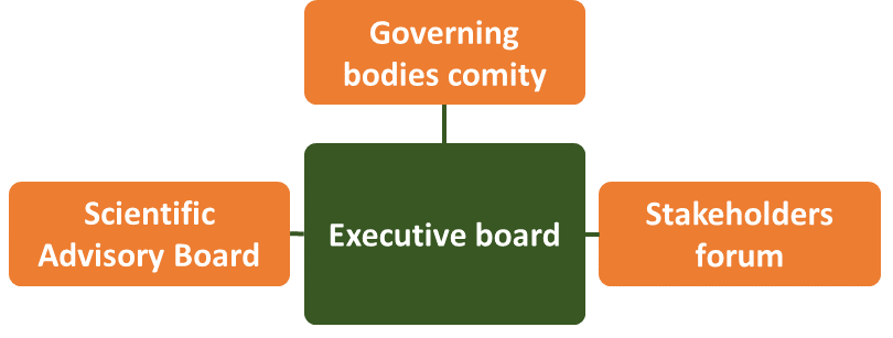 Governing Bodies