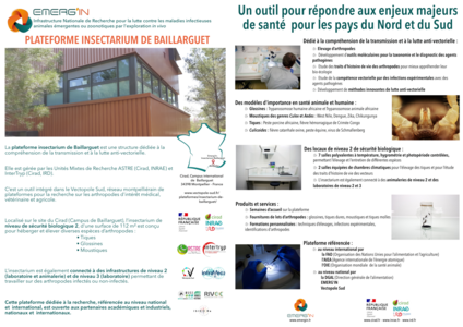 Baillarguet Baillarguet